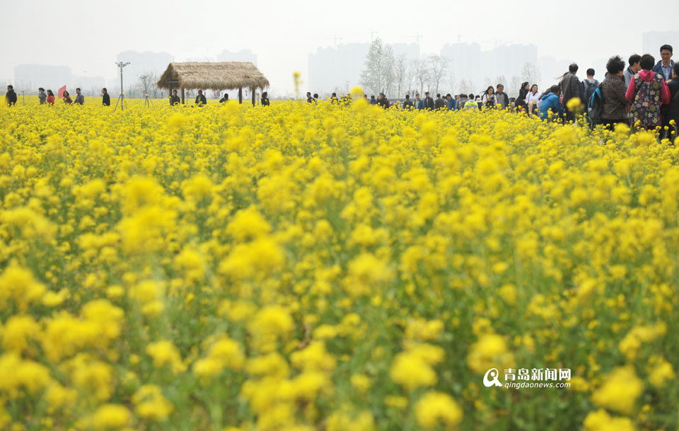 如是书店实践行:爱相伴&亲子阅读系列活动