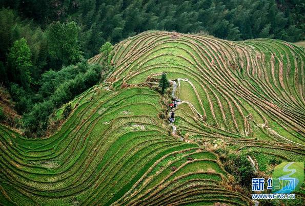 中国梯田——“地球上最美的曲线”