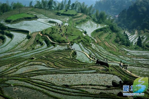 中国梯田——“地球上最美的曲线”
