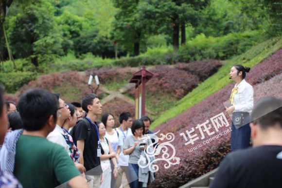 登万寿天梯赏长寿菩提 世界之最让网媒记者沉醉 登万寿天梯赏长寿菩提 世界之最让网媒记者沉醉