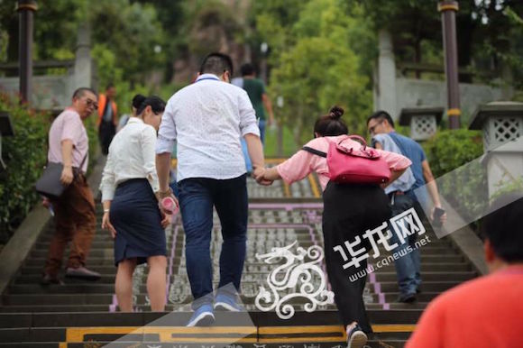 登万寿天梯赏长寿菩提 世界之最让网媒记者沉醉 登万寿天梯赏长寿菩提 世界之最让网媒记者沉醉