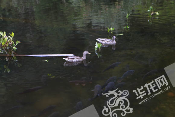 点击图片进入下一页 点击图片进入下一页