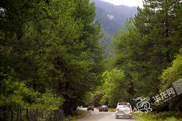 点击图片浏览更多精彩内容 点击图片浏览更多精彩内容