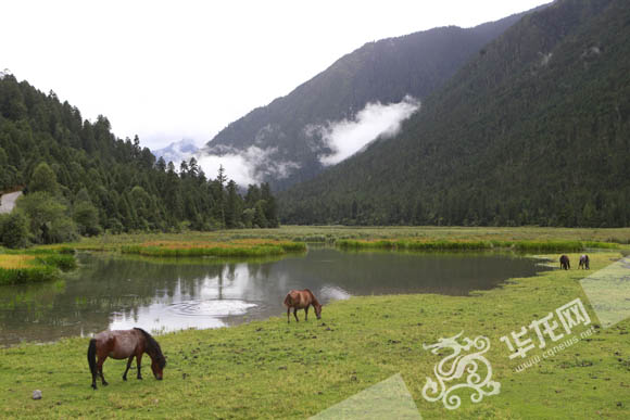 点击图片浏览更多精彩内容 点击图片浏览更多精彩内容
