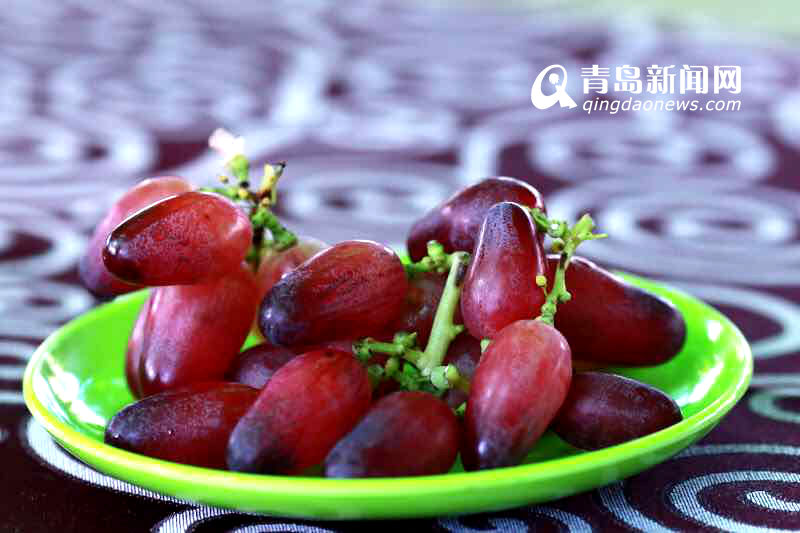 探秘中国葡萄之乡 平度大泽山镇年产值5.4亿 探秘中国葡萄之乡 平度大泽山镇年产值5.4亿