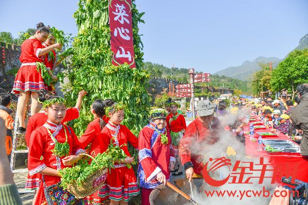 2016连州菜心节开幕 菜心至尊拍出66.66万元再创新高 2016连州菜心节开幕 菜心至尊拍出66.66万元再创新高