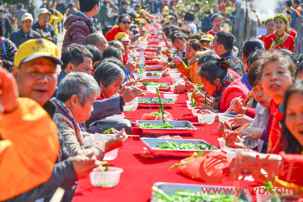 2016连州菜心节开幕 菜心至尊拍出66.66万元再创新高 2016连州菜心节开幕 菜心至尊拍出66.66万元再创新高
