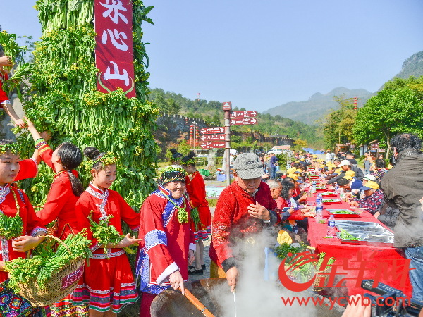 2016连州菜心节开幕 菜心至尊拍出66.66万元再创新高 2016连州菜心节开幕 菜心至尊拍出66.66万元再创新高