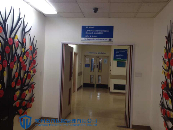 英国哪家医院治疗心脏病技术好