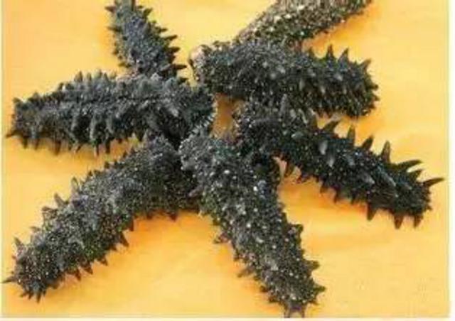 过年带啥青岛特产回家?最后一条把父母乐坏了