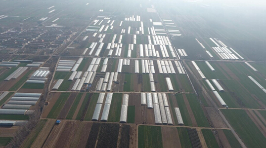 红石崖600亩无公害草莓等您来还有垂钓游乐园 红石崖600亩无公害草莓等您来还有垂钓游乐园