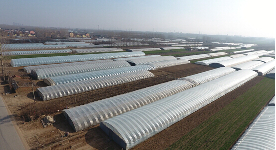 红石崖600亩无公害草莓等您来还有垂钓游乐园 红石崖600亩无公害草莓等您来还有垂钓游乐园