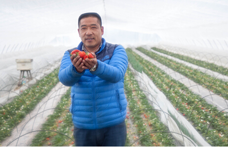红石崖600亩无公害草莓等您来还有垂钓游乐园 红石崖600亩无公害草莓等您来还有垂钓游乐园