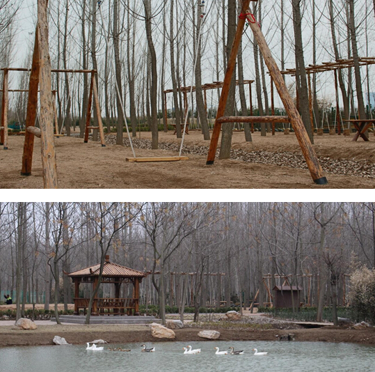 红石崖600亩无公害草莓等您来还有垂钓游乐园 红石崖600亩无公害草莓等您来还有垂钓游乐园