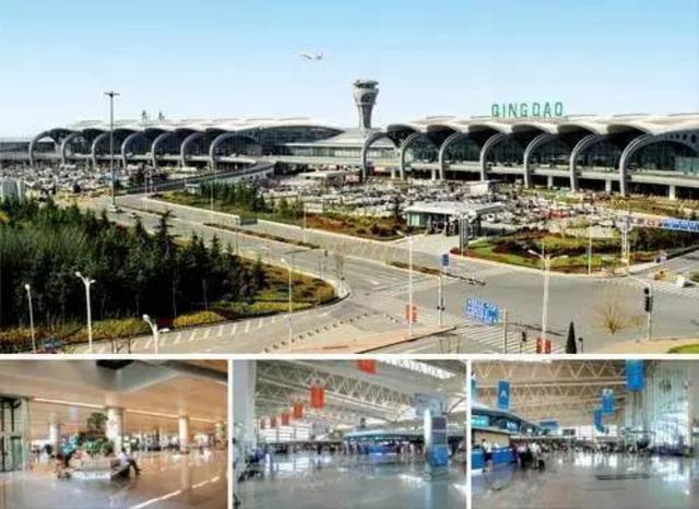 青岛第一美女,既文艺又妖娆!简历更是震惊全国