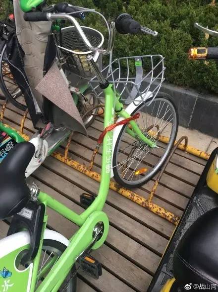 共享单车在青岛被扔进海!还有这些不文明行为