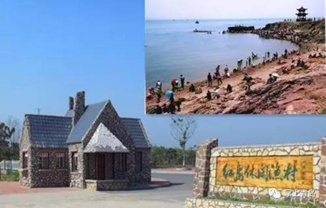 红岛蛤蜊节开幕,游玩全攻略奉上