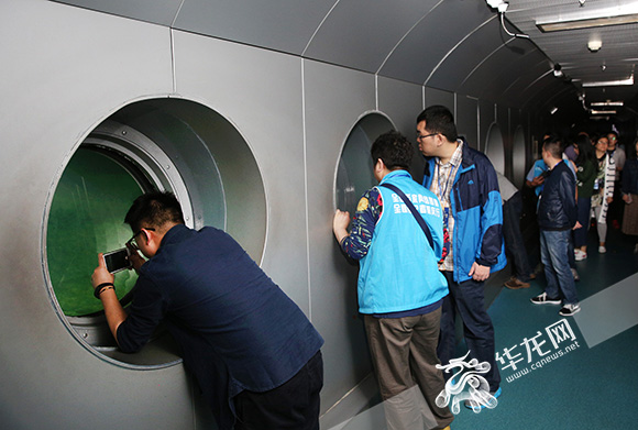 网络媒体记者们在一个个水下视窗前依次观看,不时掏出手机和相机记录下这些令人惊叹的题刻。从视窗望去,石鱼、书刻等都展现在面前。 记者 刘嵩 摄.jpg