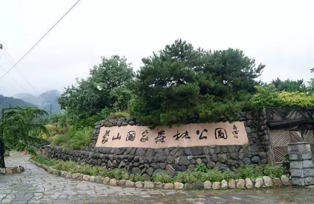 官方透露鲁南高铁消息!2019年青岛坐高铁直达