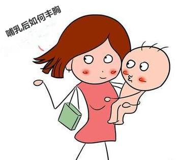 哺乳后如何丰胸