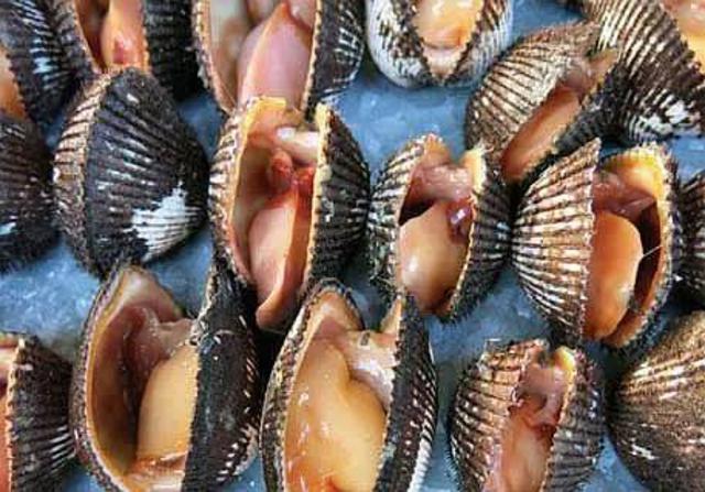 除了血蛤,你还能吃这37种贝类…