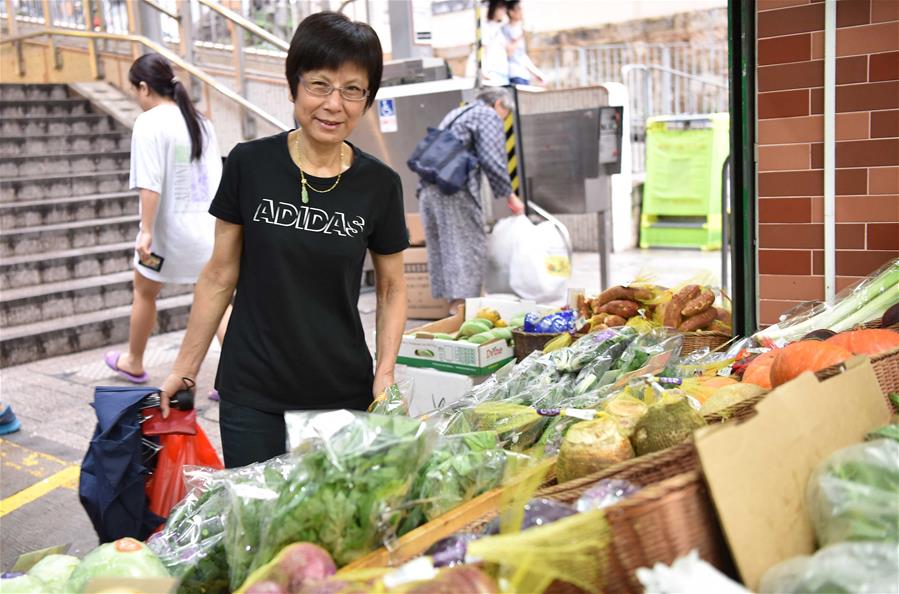 （香港回归二十周年）（16）从田间到菜篮——供港蔬菜的跨境之旅