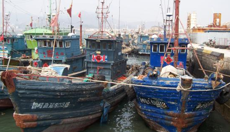 鲅鱼节开幕在即 青岛女婿们准备好了吗? 鲅鱼节开幕在即 青岛女婿们准备好了吗?