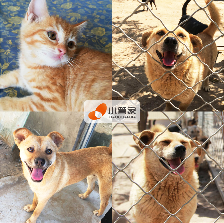 1495533504108057.png QQ截图20170523175804.png