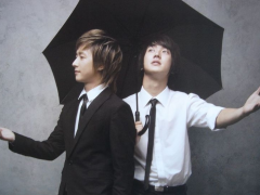 ����ʯ��ע����������Щ