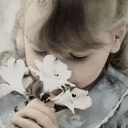 ��״������Ҫ����Щ���