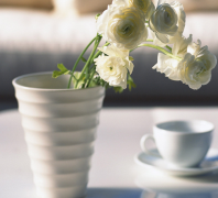 ���Ŵ���������ô����