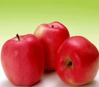 女性该怎样预防胆结石