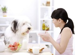 肝腹水的病因病理