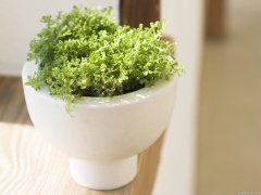 哪些因素会引起产后抑郁