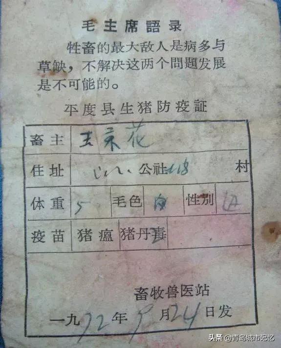 1986年被拆除上世纪70年代的人民剧院平度一中78级七班高中毕业合影