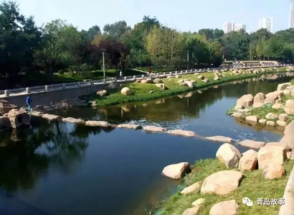 穿过城市的河流——海泊河 - 青岛新闻网