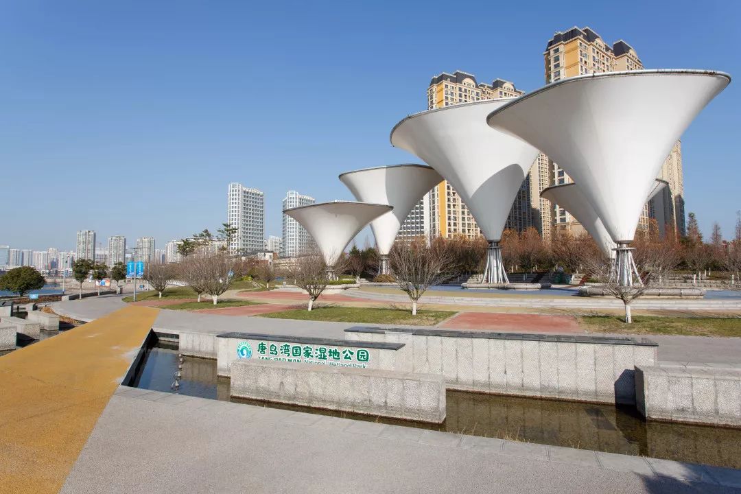 这个冬天,带你解锁唐岛湾的n种玩法!