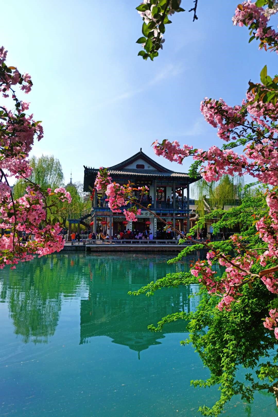 山东最美海棠花海也要火!