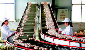 安顺特色产业助推现代农业 安顺特色产业助推现代农业