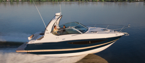 青岛福日曾显波再摘运动游艇品牌