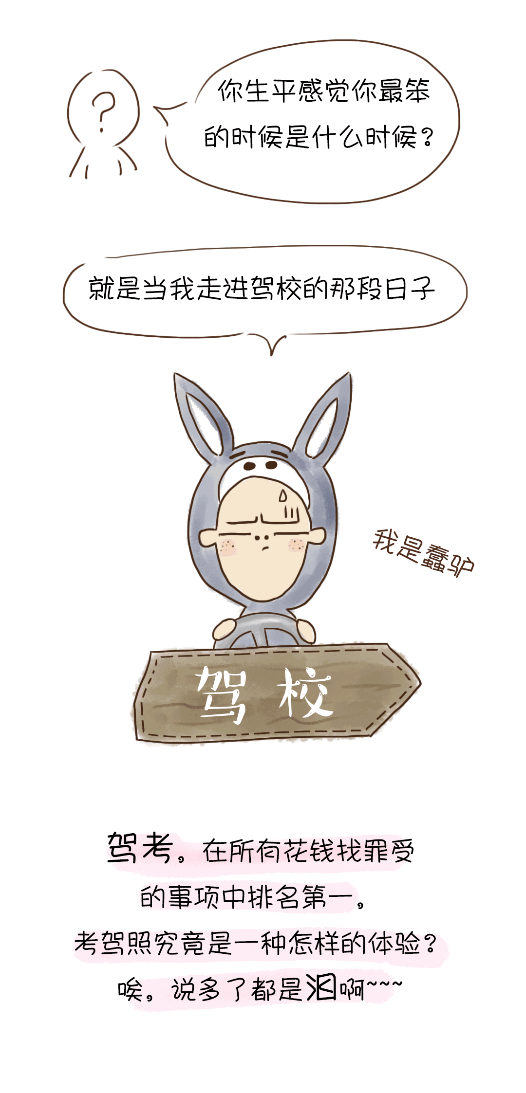 考驾照是一种怎样的体验说多了都是泪