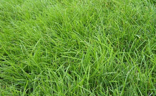 QQ截图20170210214049