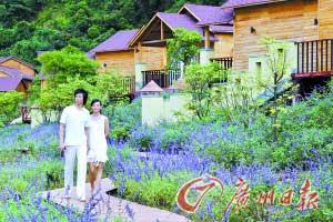 牵着手走在薰衣草田上或在温泉池中戏水，都很浪漫。