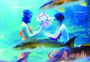 水中的浪漫