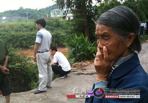 湖南宁乡发现多处天坑 最大直径80多米(组图)