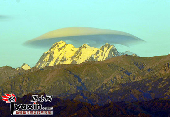 “帽子”变化多端。（图三）