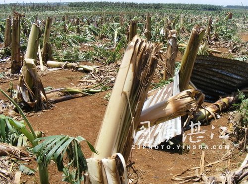 广东徐闻县遭遇龙卷风 大铁门被卷到空中飞舞