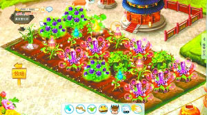 曾经风靡一时的“偷菜”可能被取消。图为一位QQ好友在农场“种”的菜。