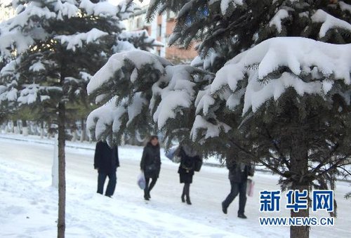 哈尔滨、大庆降下今年入冬以来第一场雪