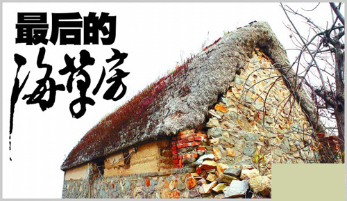 青岛海草房:冬暖夏凉59年不坏 防虫防水火